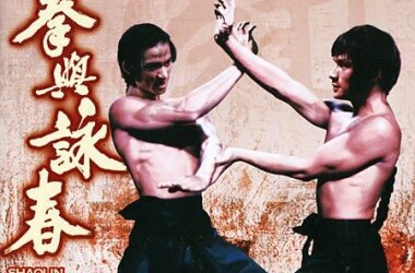 洪拳与咏春(电影)