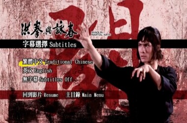 洪拳与咏春(电影)