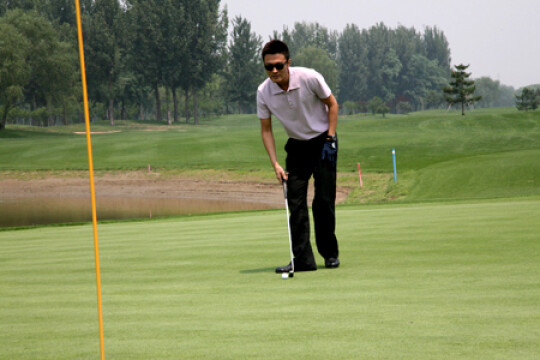 电视剧姐妹新娘,姐妹新娘剧情介绍(1-35全集)