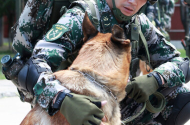 郭油子/郭有栋(神犬奇兵主角)杨烁饰,郭油子/郭有栋图