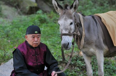 毛驴县令之棒子老虎鸡剧情介绍_电影_电视猫