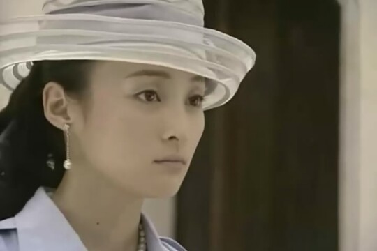 电视剧王中王,王中王剧情介绍(1-25全集)