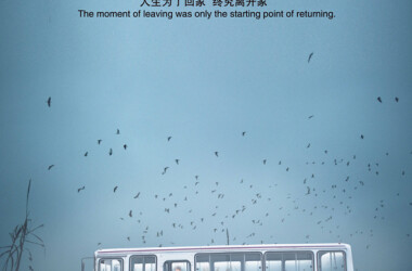 到阜阳六百里(电影)