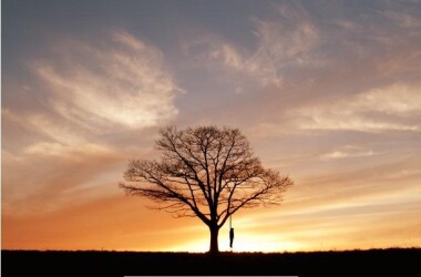 黑吃黑第三季剧照