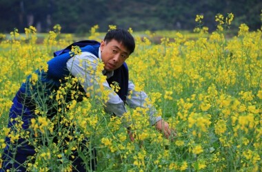 詹福禄是谁演的,詹福禄扮演者,油菜花香詹福禄_电视猫