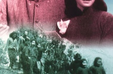 哀乐中年(电影)