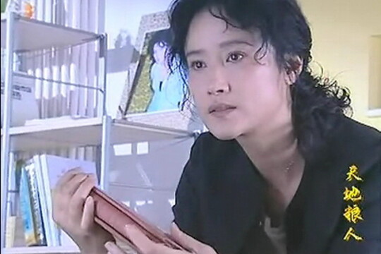 电视剧天地粮人,天地粮人剧情介绍(1-20全集)