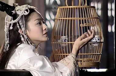 风云第25-27集剧情介绍_电视猫