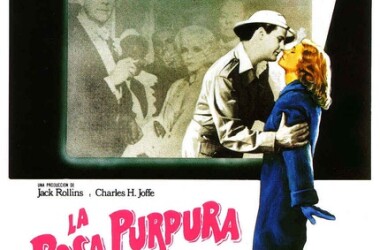 电影开罗紫玫瑰,开罗紫玫瑰剧情简介