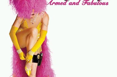 特工佳丽2:武力巾帼(电影)