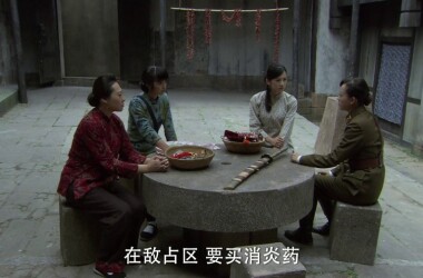 罗龙镇的女人第8集