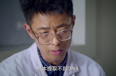 刑警队长剧情