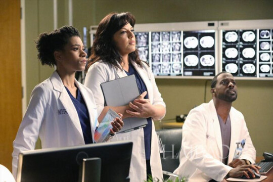 实习医生格蕾第十一季剧情 第1集(共25集),实习