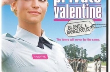 大明星从军记(电影)