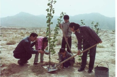 帕米尔医生剧情介绍第1-3集_电视猫