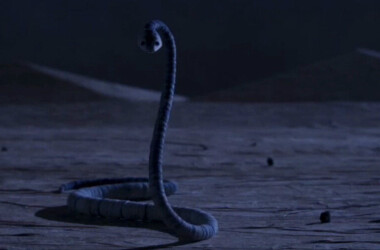 蛇是谁演的,蛇扮演者,小王子蛇_电视猫