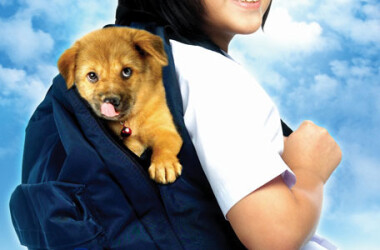 电影小犬与女孩,小犬与女孩剧情简介