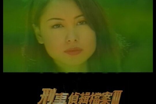 电视剧刑事侦缉档案3,刑事侦缉档案3剧情介绍