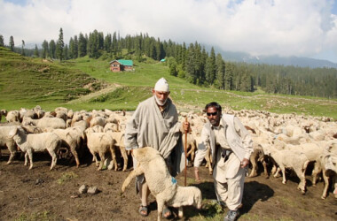 喀什米尔乡土情什么时候播出