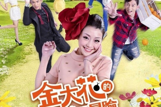 金大花的华丽冒险剧情 第1集(21全集),金大花的