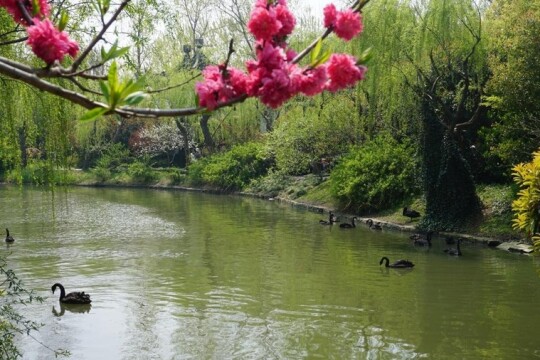 电视剧京杭大运河,京杭大运河剧情介绍_电视猫