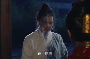 唐昧是谁演的,唐昧扮演者,芈月传唐昧_电视猫