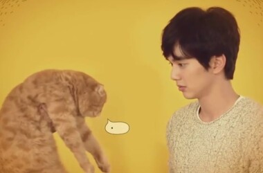 想象猫第4-6集剧情介绍