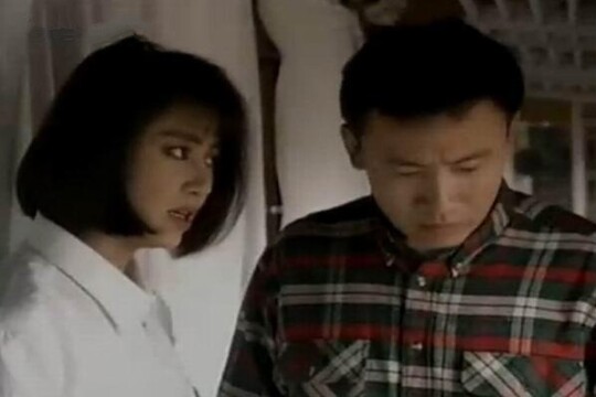 电视剧铁鹰行动,铁鹰行动剧情介绍(1-20全集)