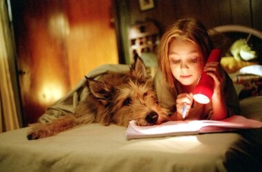 都是戴茜惹的祸剧情介绍_电视猫