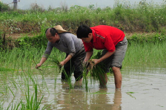 永远的忠诚剧情 第1集(24全集),永远的忠诚分集