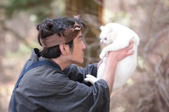 电影猫侍:玉之丞进军江户_电视猫