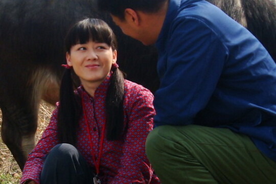 电视剧哑妹,哑妹剧情介绍(1-38全集)