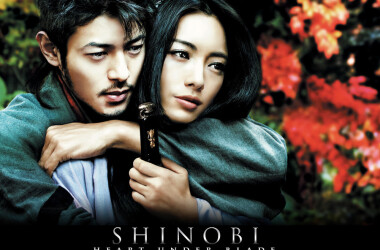 电影甲贺忍法帖,甲贺忍法帖剧情简介