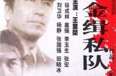 黄金缉私队剧情介绍(1-20全集)