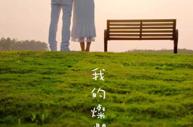 我的灿烂人生剧照