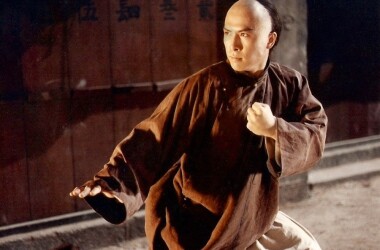 黄麒英是谁演的,黄麒英扮演者,少年黄飞鸿之铁马骝黄麒英_电视猫