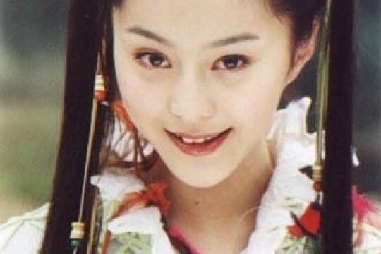 电视剧少年包青天2,少年包青天2剧情介绍(1-4