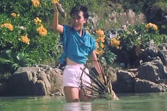 袁洁莹个人资料