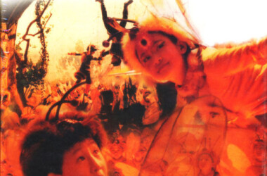 蜜里逃生剧情介绍(1-18全集)_电视剧_电视猫