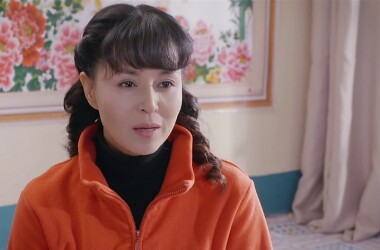 电视剧木兰妈妈,木兰妈妈剧情介绍(1-41全集)