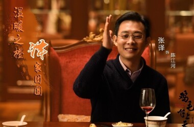 电视剧鸡毛飞上天,鸡毛飞上天剧情介绍(1-58全