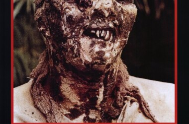 电影生人回避,生人回避剧情简介_电视猫