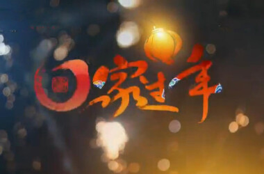 回家过年剧情介绍