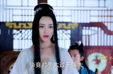 孤芳不自赏角色耀天公主(甘婷婷饰),耀天公主人物关系