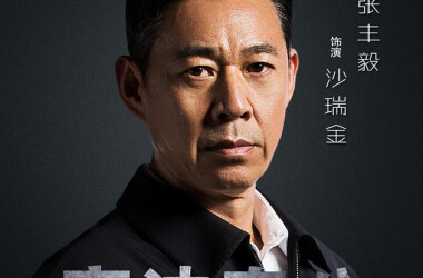 人民的名义角色沙瑞金(张丰毅饰),沙瑞金人物关