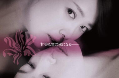 白百合之恋剧情介绍_电视猫