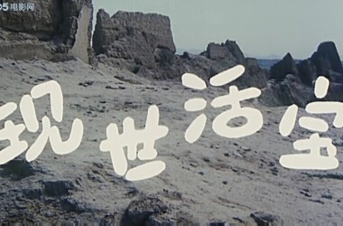 电影现世活宝,现世活宝剧情简介_电视猫