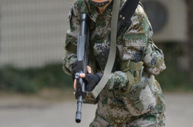 我是特种兵之火凤凰第28-30集剧情介绍