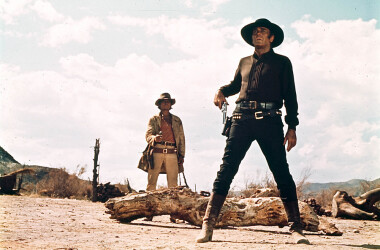 电影西部往事,西部往事剧情简介