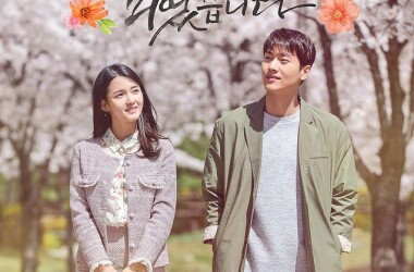 木槿花开了分集剧情 第31集(50全集)_电视猫